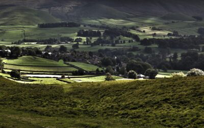 Long-Range Monitoring Matters on Large Rural Properties