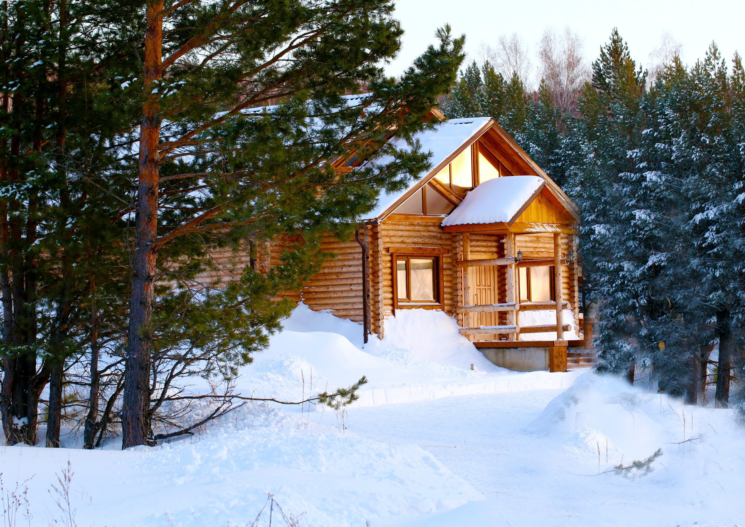 Intelligent Badger security alerts from your vacation homes