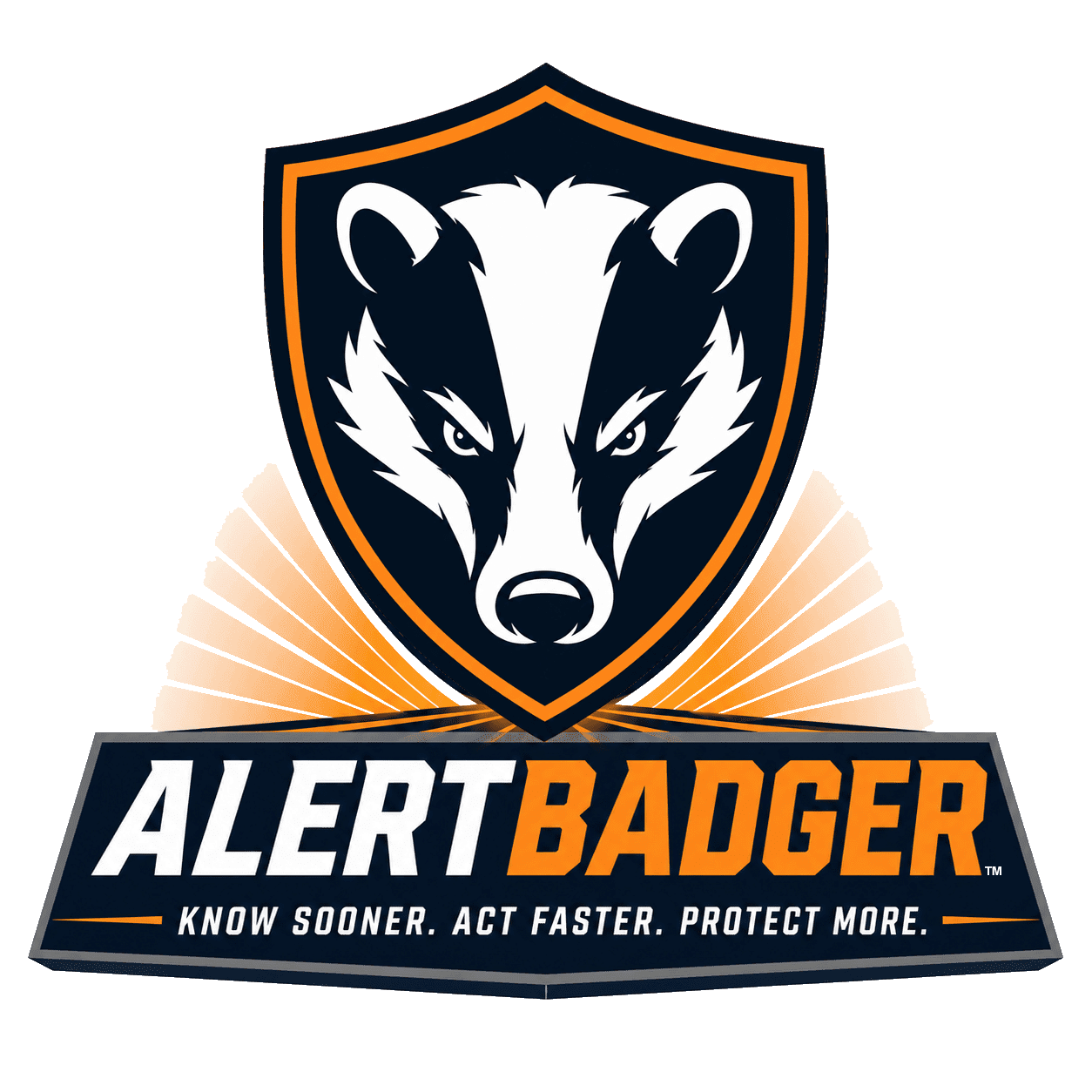 Military Badger
